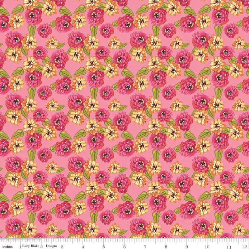 Zinnias Zinnias Pink